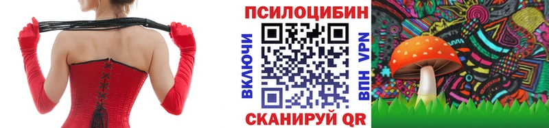 Псилоцибиновые грибы MAGIC MUSHROOMS  сколько стоит  Дзержинский 
